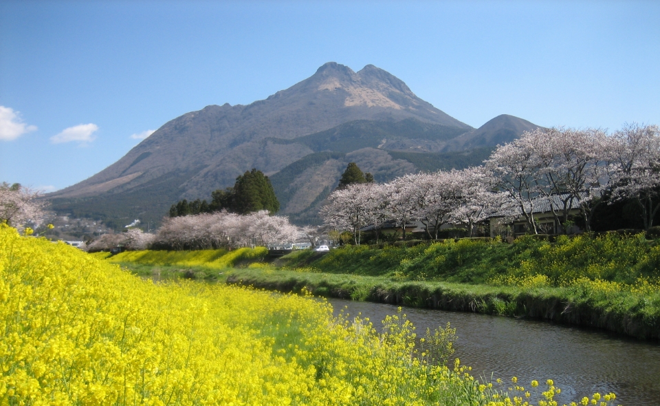 春の由布岳